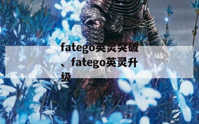 fatego英灵突破、fatego英灵升级