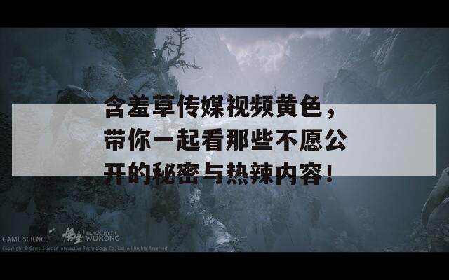含羞草传媒视频黄色，带你一起看那些不愿公开的秘密与热辣内容！