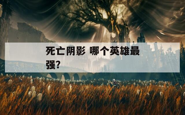 死亡阴影 哪个英雄最强？