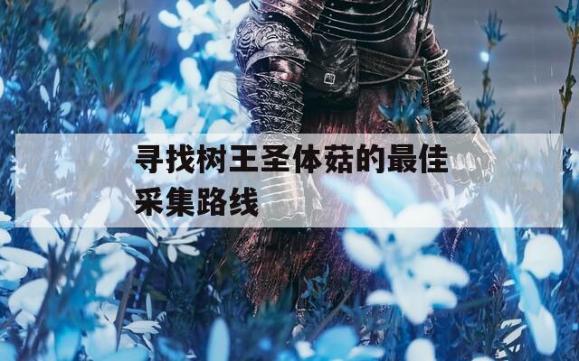 寻找树王圣体菇的最佳采集路线