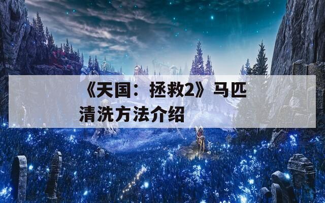 《天国：拯救2》马匹清洗方法介绍