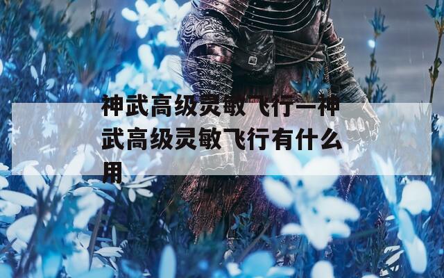 神武高级灵敏飞行—神武高级灵敏飞行有什么用