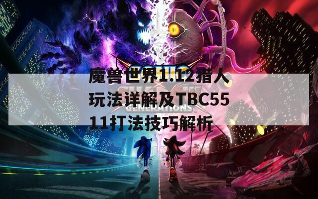 魔兽世界1.12猎人玩法详解及TBC5511打法技巧解析