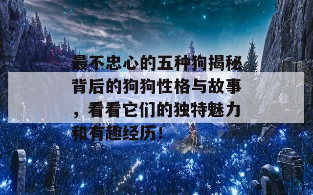 最不忠心的五种狗揭秘背后的狗狗性格与故事，看看它们的独特魅力和有趣经历！