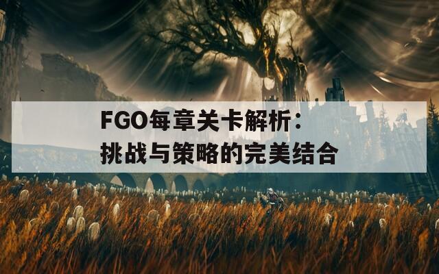 FGO每章关卡解析：挑战与策略的完美结合