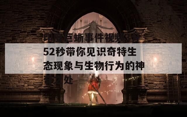 印度巨蜥事件视频3分52秒带你见识奇特生态现象与生物行为的神奇之处