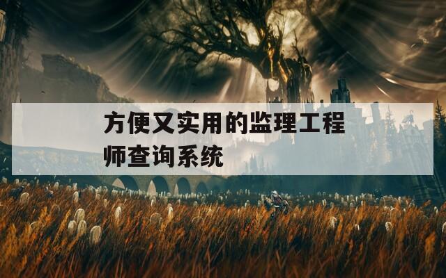 方便又实用的监理工程师查询系统