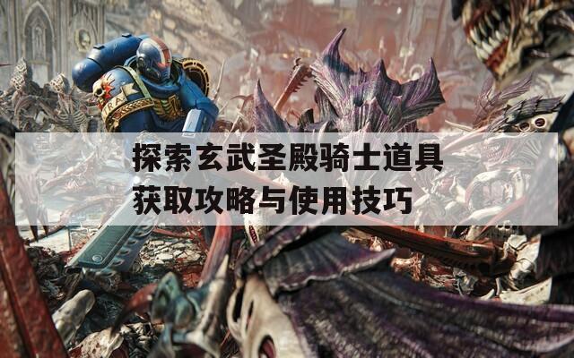 探索玄武圣殿骑士道具获取攻略与使用技巧