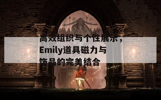 高效组织与个性展示，Emily道具磁力与饰品的完美结合