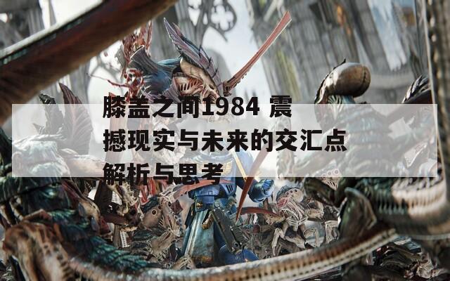 膝盖之间1984 震撼现实与未来的交汇点解析与思考