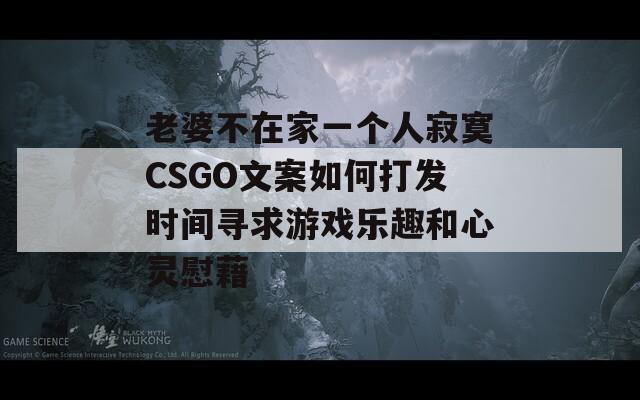 老婆不在家一个人寂寞CSGO文案如何打发时间寻求游戏乐趣和心灵慰藉