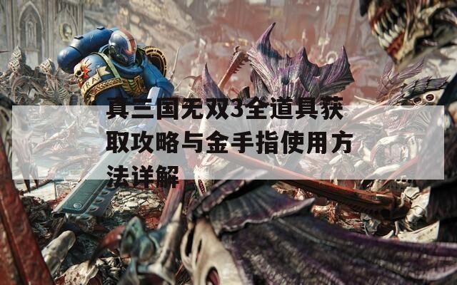 真三国无双3全道具获取攻略与金手指使用方法详解