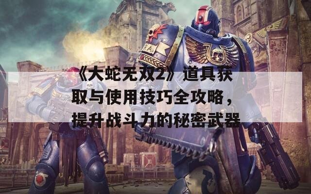 《大蛇无双2》道具获取与使用技巧全攻略，提升战斗力的秘密武器