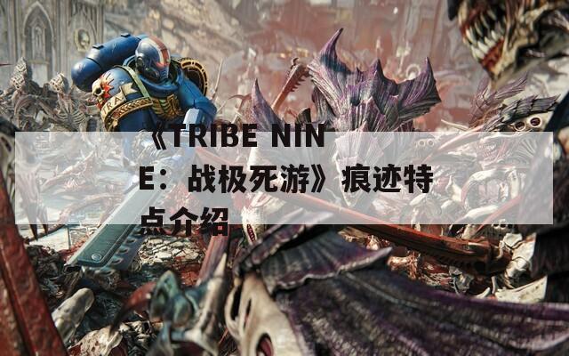 《TRIBE NINE：战极死游》痕迹特点介绍