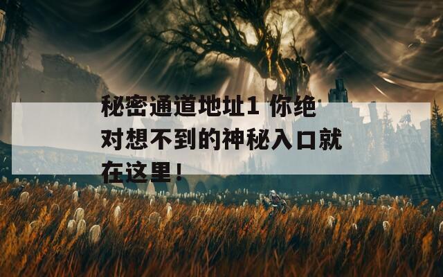 秘密通道地址1 你绝对想不到的神秘入口就在这里！