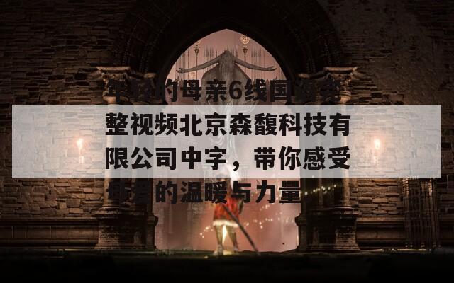 年轻的母亲6线国语完整视频北京森馥科技有限公司中字，带你感受母爱的温暖与力量。