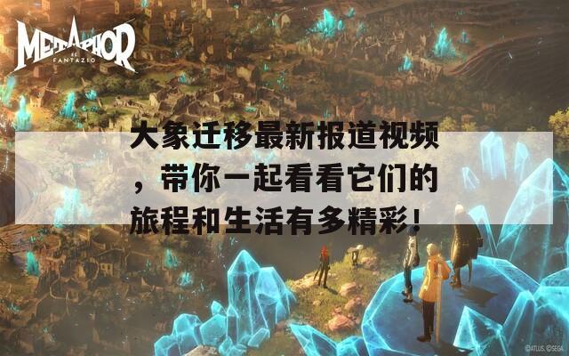 大象迁移最新报道视频，带你一起看看它们的旅程和生活有多精彩！