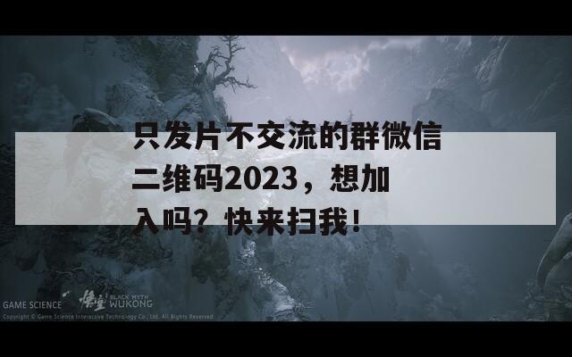 只发片不交流的群微信二维码2023，想加入吗？快来扫我！