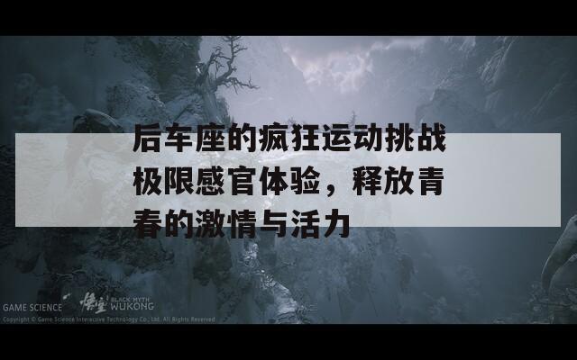 后车座的疯狂运动挑战极限感官体验，释放青春的激情与活力