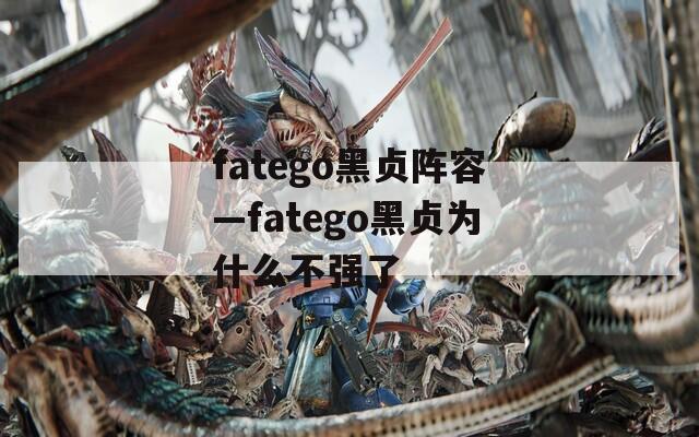fatego黑贞阵容—fatego黑贞为什么不强了