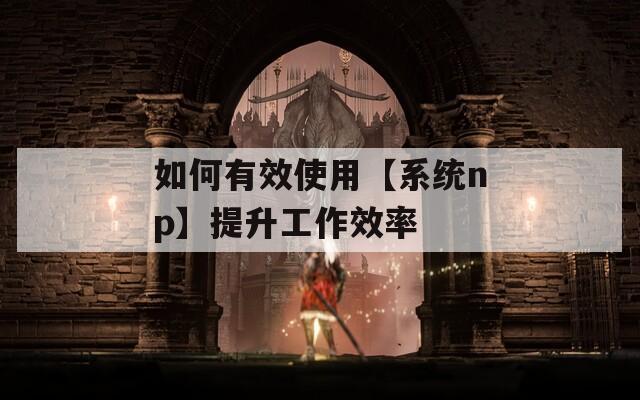 如何有效使用【系统np】提升工作效率