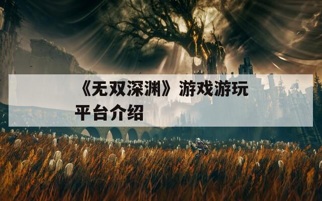 《无双深渊》游戏游玩平台介绍