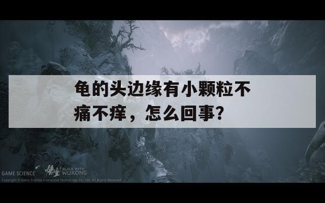 龟的头边缘有小颗粒不痛不痒，怎么回事？