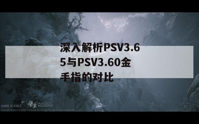 深入解析PSV3.65与PSV3.60金手指的对比