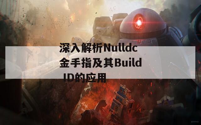 深入解析Nulldc金手指及其Build ID的应用