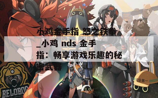 小鸡金手指 怒之铁拳_小鸡 nds 金手指：畅享游戏乐趣的秘密武器