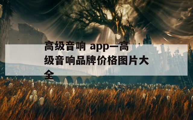 高级音响 app—高级音响品牌价格图片大全