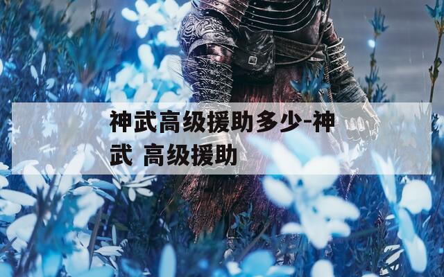 神武高级援助多少-神武 高级援助