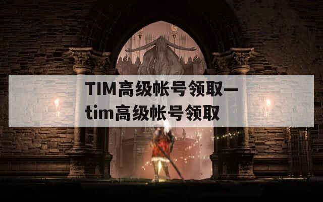 TIM高级帐号领取—tim高级帐号领取