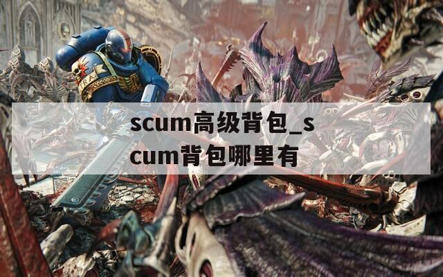 scum高级背包_scum背包哪里有