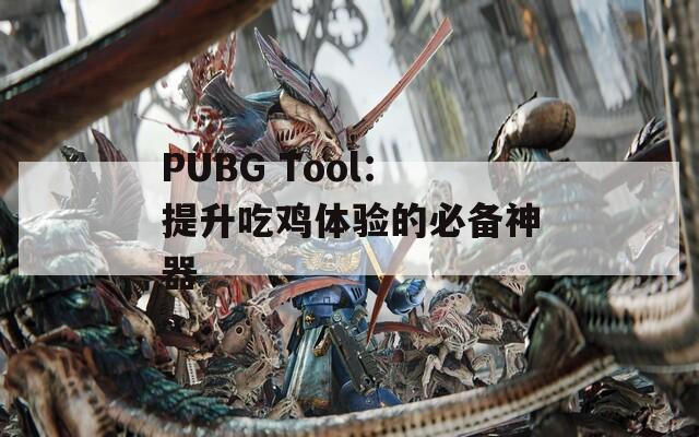 PUBG Tool：提升吃鸡体验的必备神器