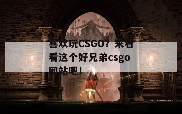 喜欢玩CSGO？来看看这个好兄弟csgo网站吧！