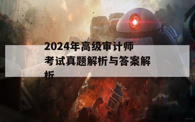 2024年高级审计师考试真题解析与答案解析