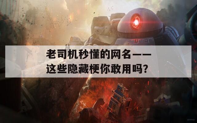 老司机秒懂的网名——这些隐藏梗你敢用吗？