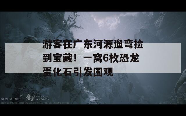 游客在广东河源遛弯捡到宝藏！一窝6枚恐龙蛋化石引发围观