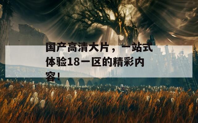 国产高清大片，一站式体验18一区的精彩内容！