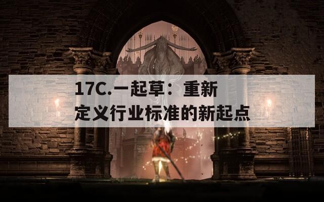 17C.一起草：重新定义行业标准的新起点