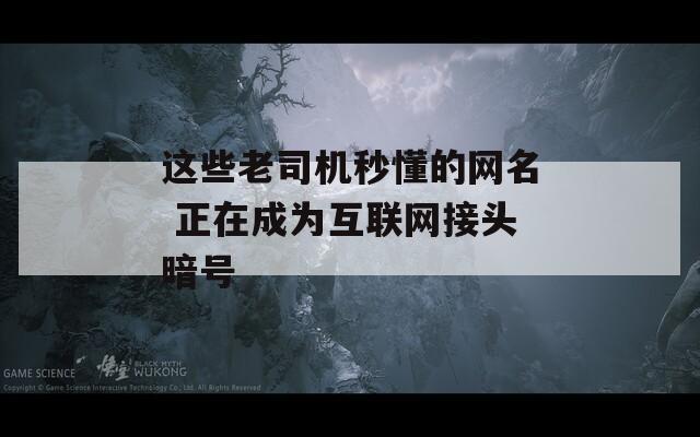 这些老司机秒懂的网名 正在成为互联网接头暗号