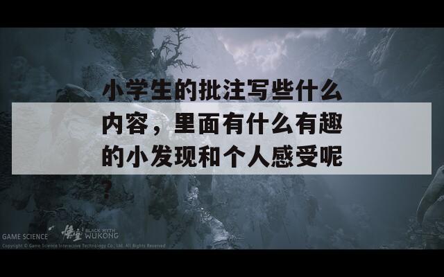 小学生的批注写些什么内容，里面有什么有趣的小发现和个人感受呢？