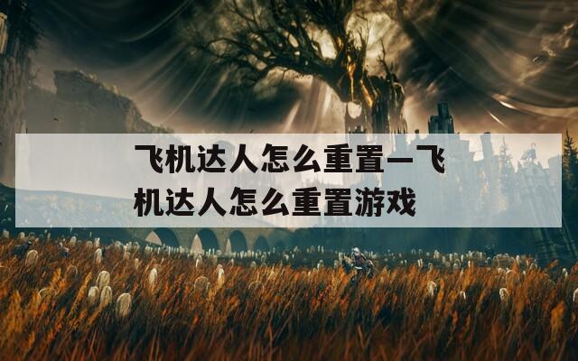 飞机达人怎么重置—飞机达人怎么重置游戏