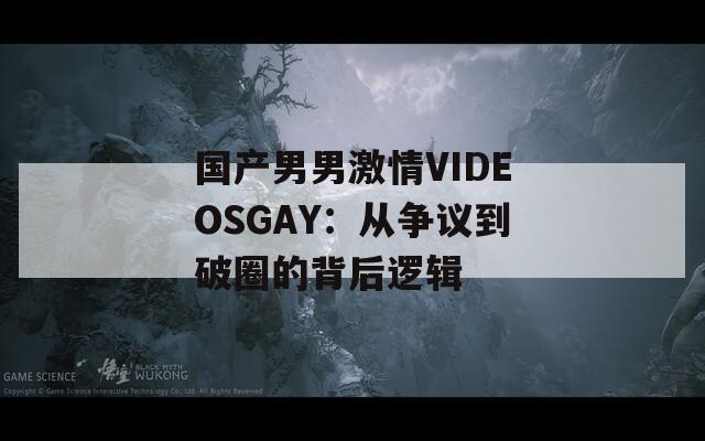 国产男男激情VIDEOSGAY：从争议到破圈的背后逻辑