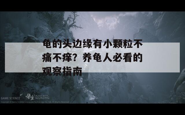 龟的头边缘有小颗粒不痛不痒？养龟人必看的观察指南