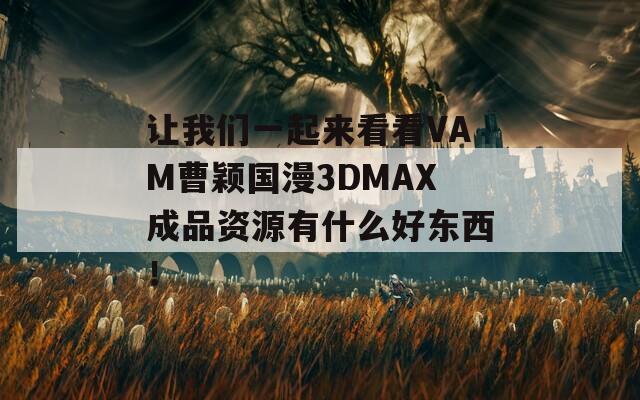 让我们一起来看看VAM曹颖国漫3DMAX成品资源有什么好东西！