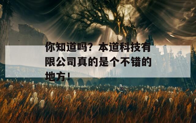 你知道吗？本道科技有限公司真的是个不错的地方！