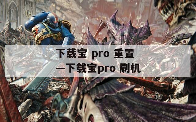 下载宝 pro 重置—下载宝pro 刷机