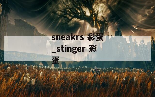 sneakrs 彩蛋_stinger 彩蛋